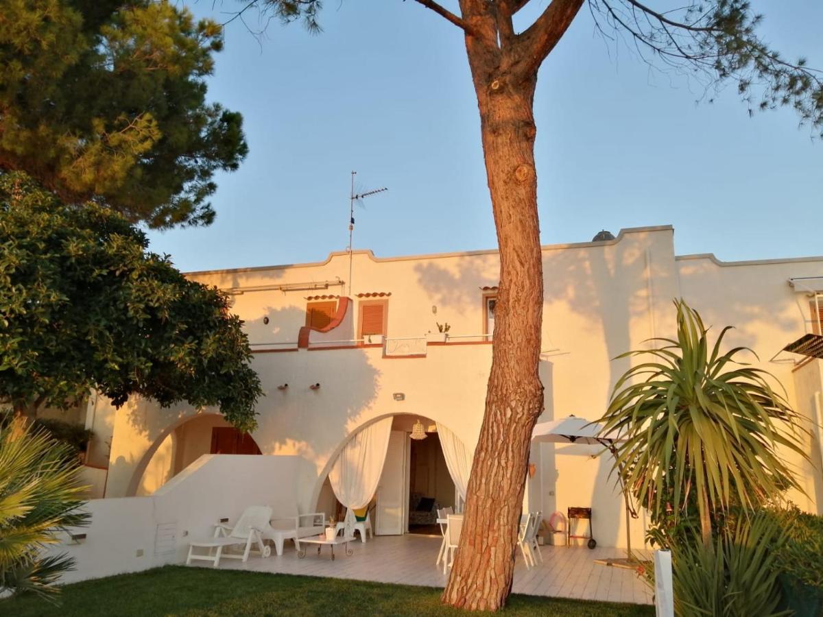 Villa A Diamante Sulla Spiaggia Belvedere Marittimo Eksteriør billede